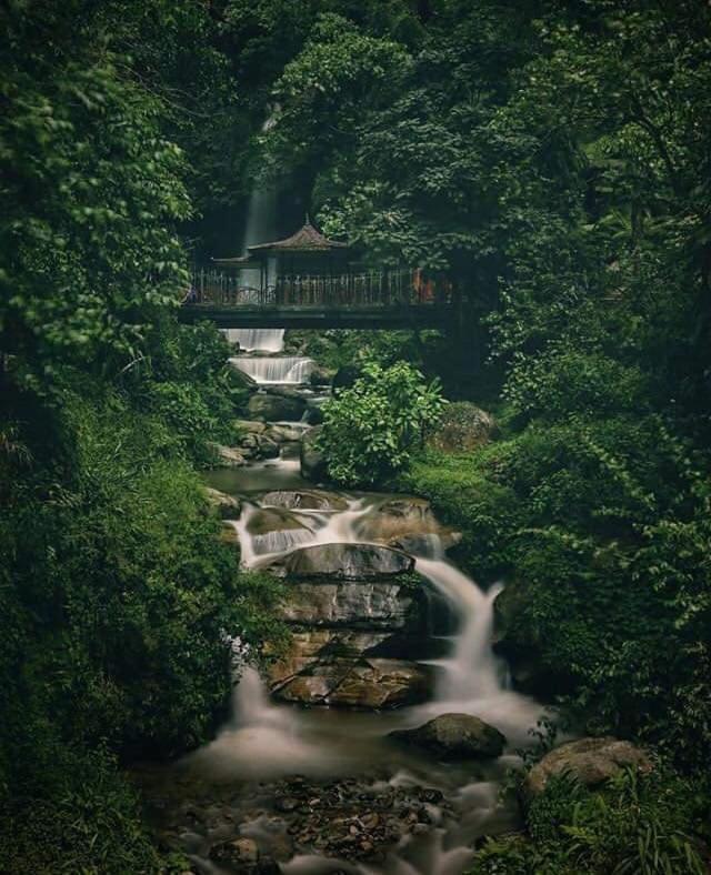 Hotel Woileem Gangtok Bagian luar foto